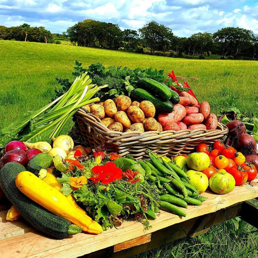 Ballylagan Organic Farm Straid  Extérieur photo