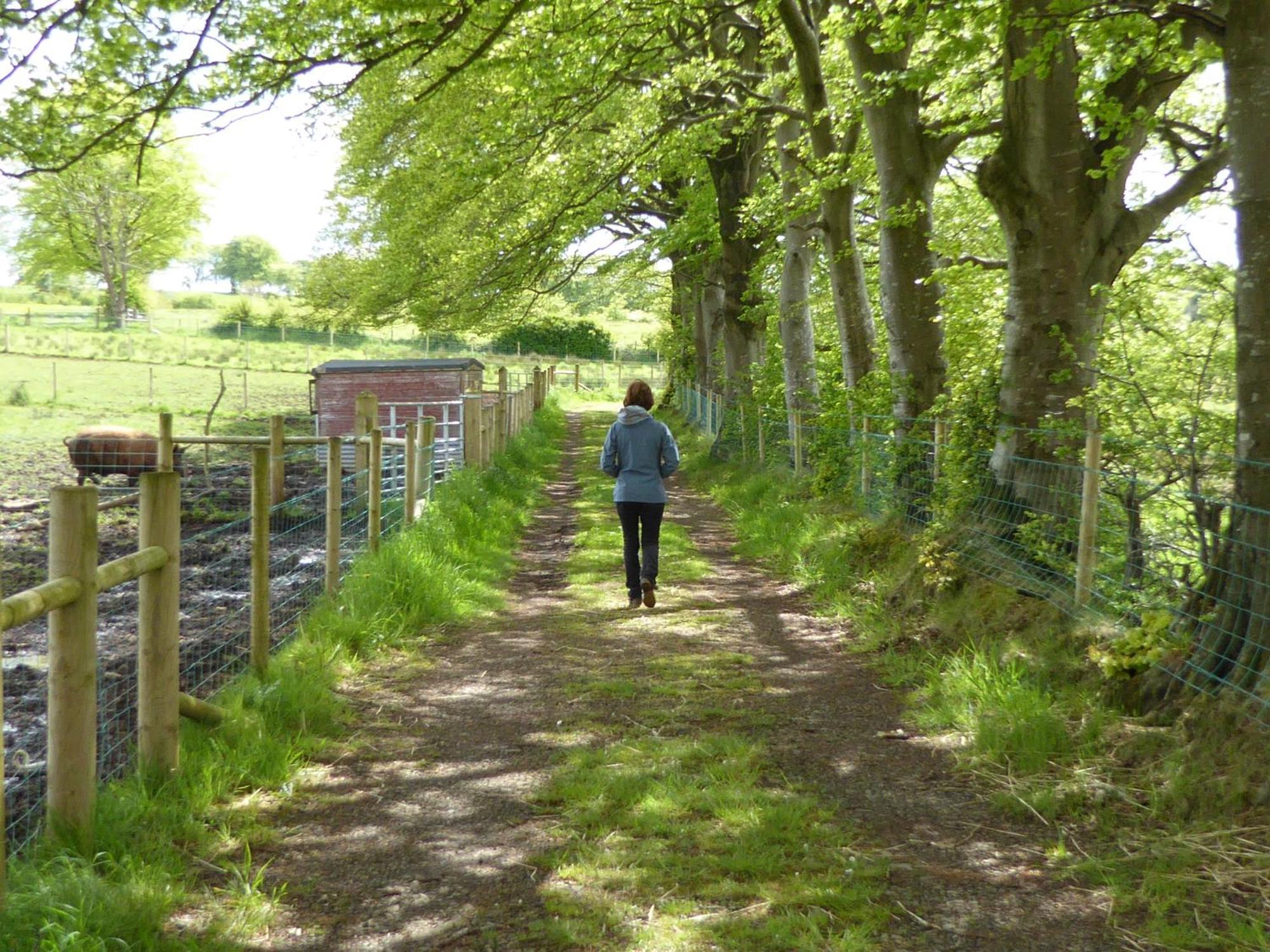 Ballylagan Organic Farm Straid  Chambre photo